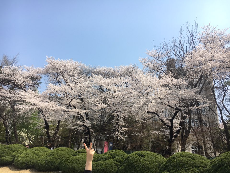 KakaoTalk_20160407_124337583.jpg : *********** YES! 12진 사역보고