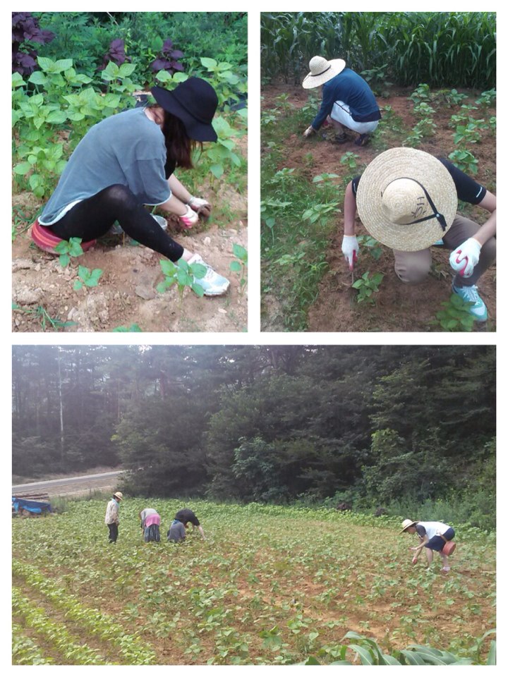 1406007373063.jpeg : [성령이 이끄시는 18진] *동해선교 편*