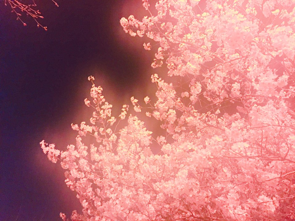 KakaoTalk_20160405_201807815.jpg : <여경지근 8진> 봄 향기