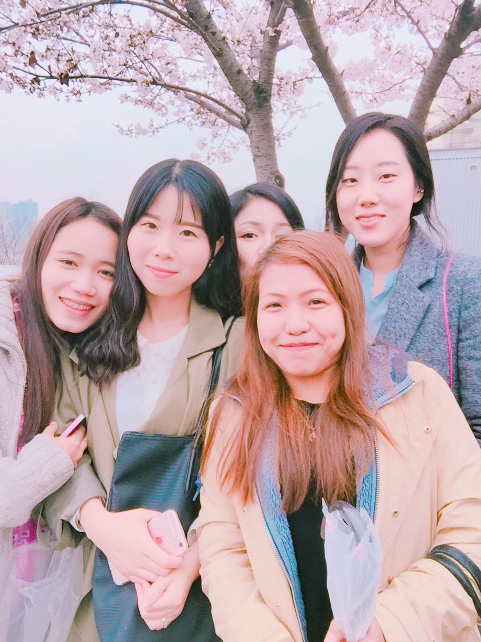 KakaoTalk_20160403_174449560.jpg : <여경지근 8진> 봄 향기