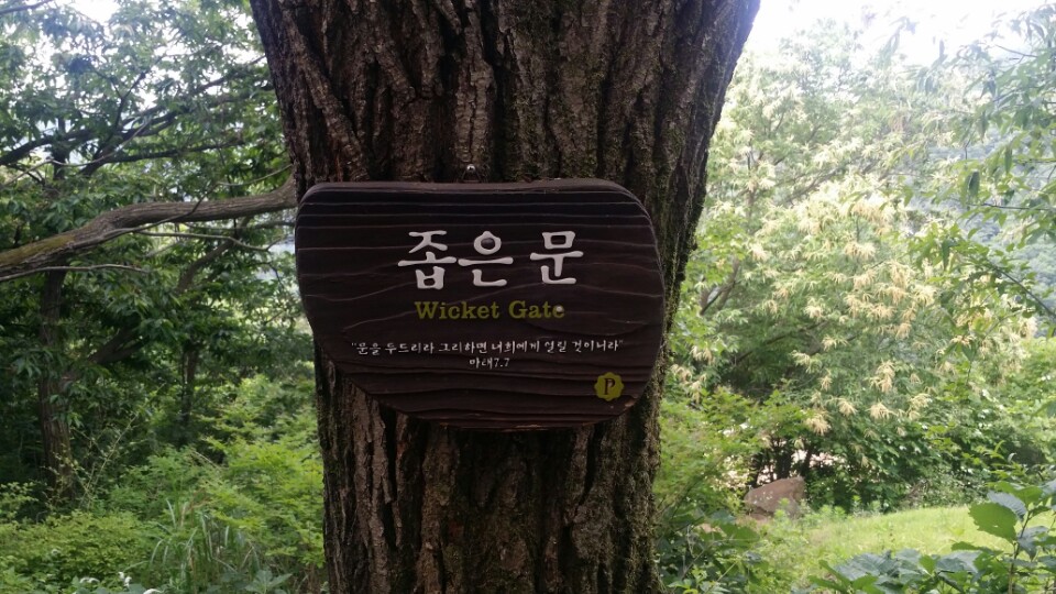 간사리트릿.jpg : 필그린 7진_2015년 6월21일 주일보고서