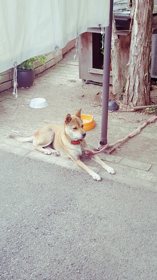 교회지킴이.jpg : [34차 일본선교] 오사카 힐스처치 사역보고 2일차