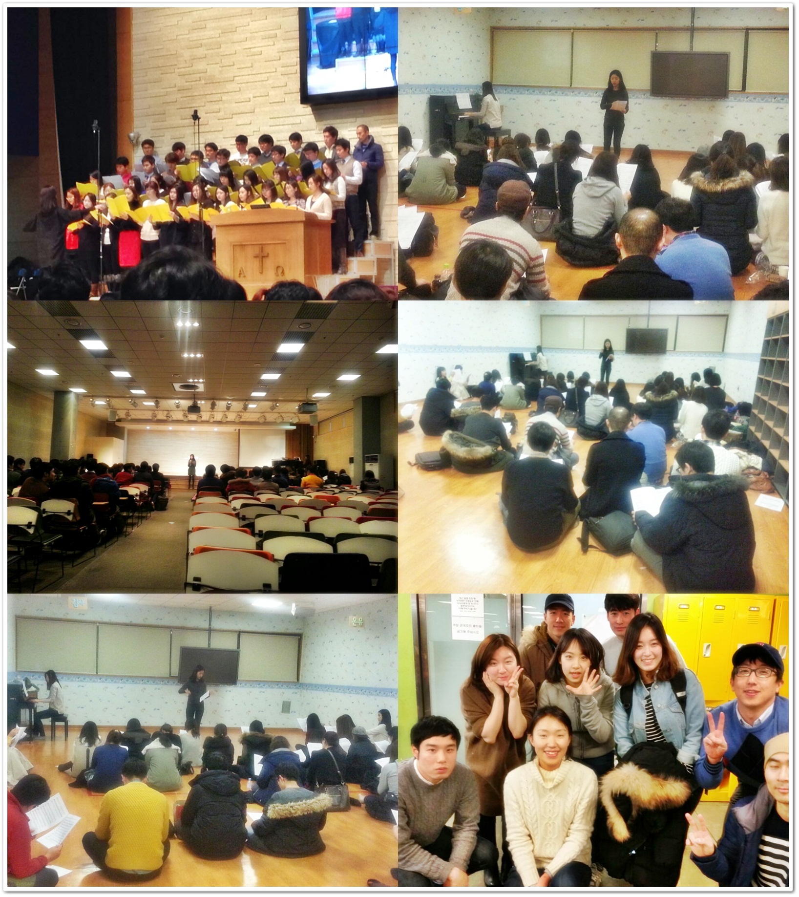 cats.jpg : Gi도로 산다 4진G