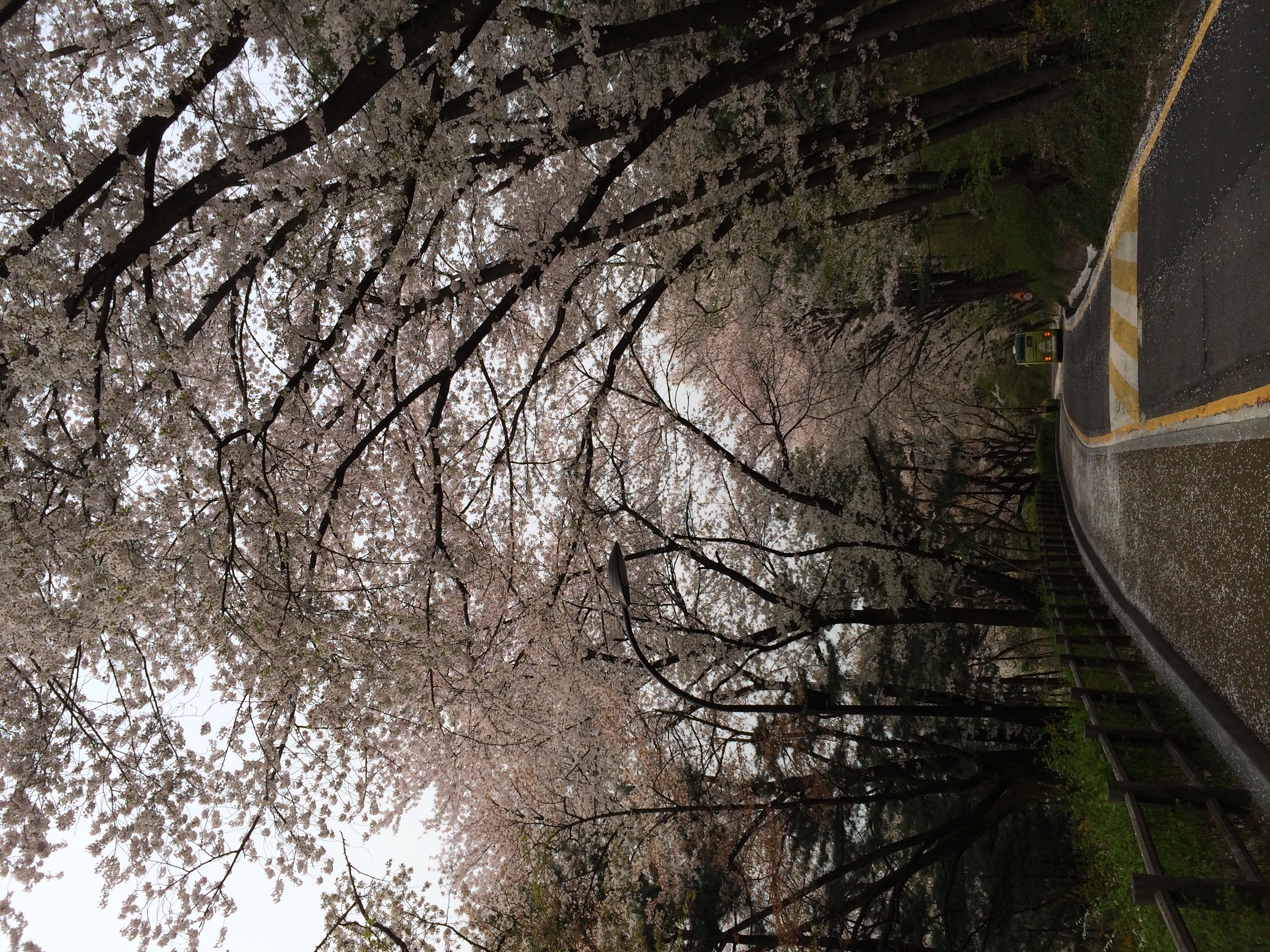 IMG_0353[1].JPG : [성령께 이끌리는 3진]사역보고서