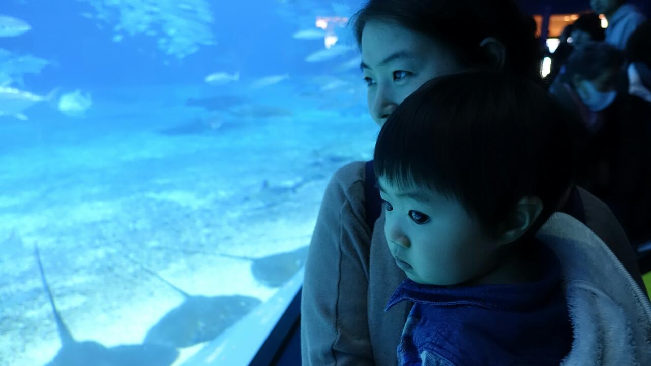 4jiUd015pfqwbzwsm0eq_b9odh0.jpg : [33차 일본선교] 9차 오키나와 고야교회 선교 보고서 - 2월 2일 화요일 (6일차)