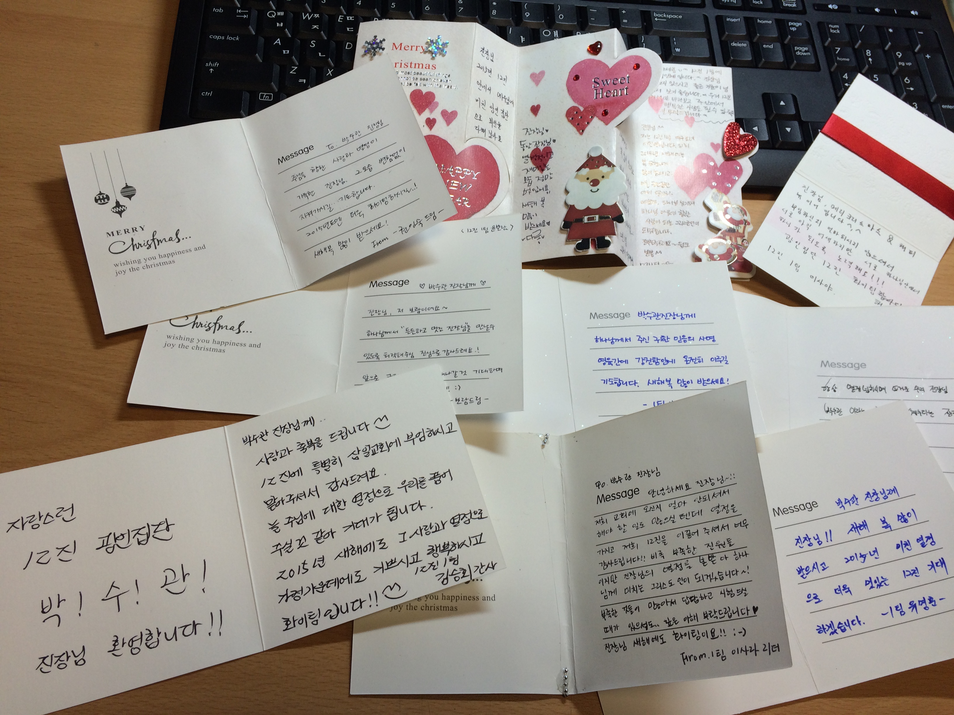 IMG_0489.JPG : [광인집단] 12진 노고지리 우지진다.