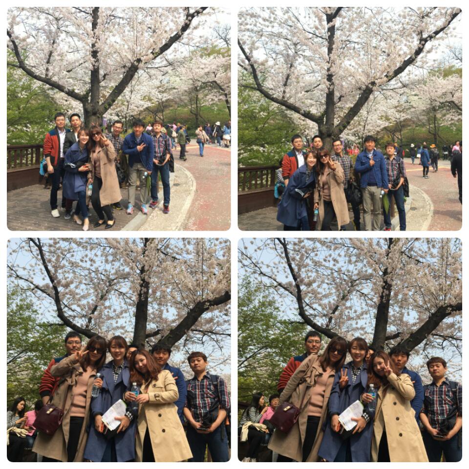 ccaUd0151dm32qmill83e_xfnkza.jpg : (우리 14진) 주일 보고서