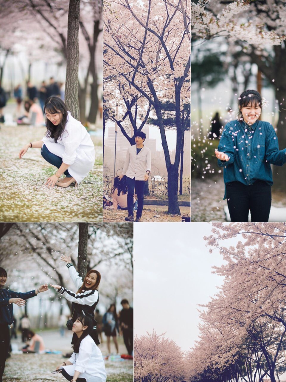 c73Ud0151no8x1cyul6vx_q82em6.jpg : (우리 14진) 주일 보고서