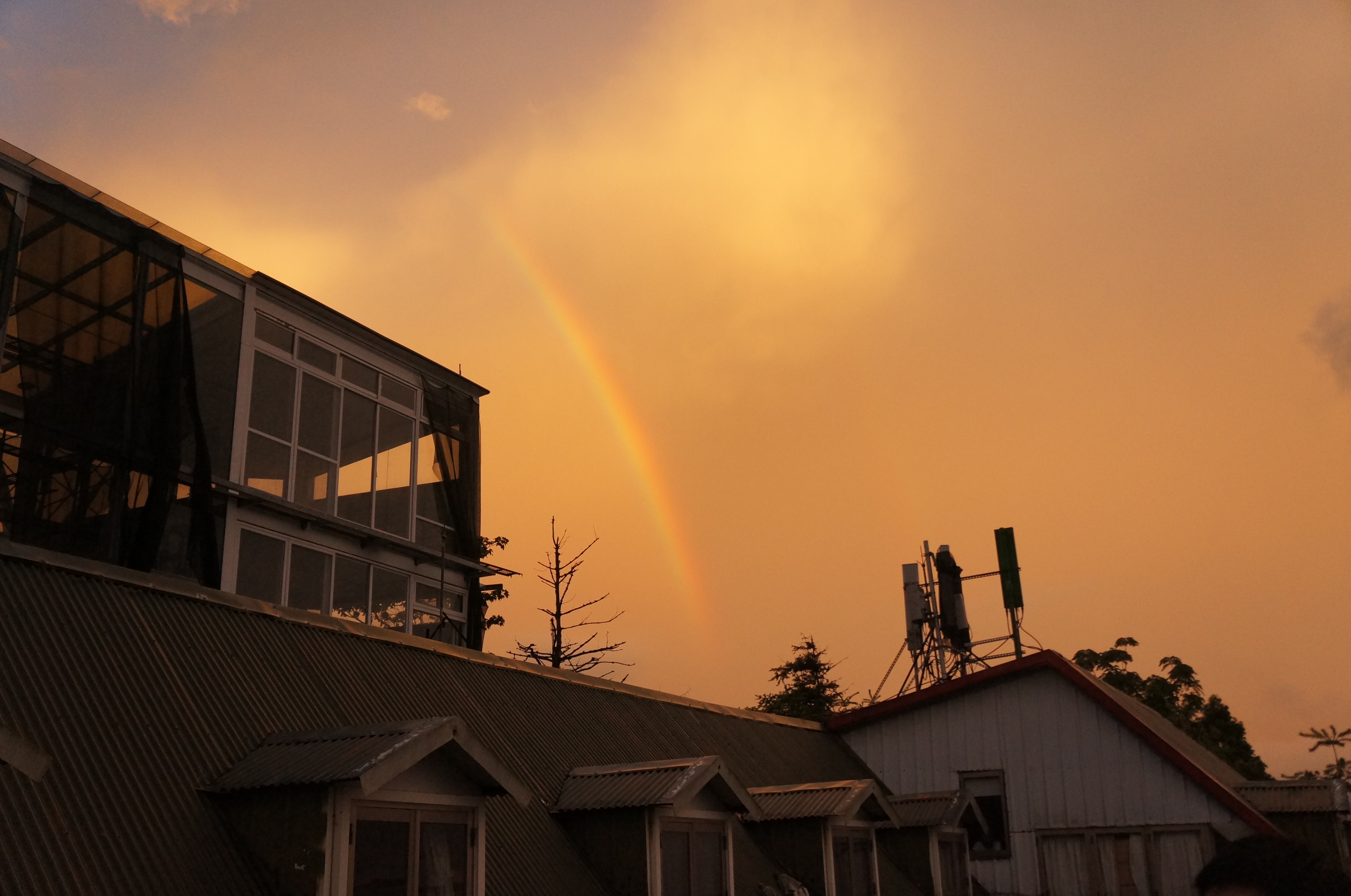 DSC08617.JPG : [37차 대만선교] 동세시은당 1일차 사역보고