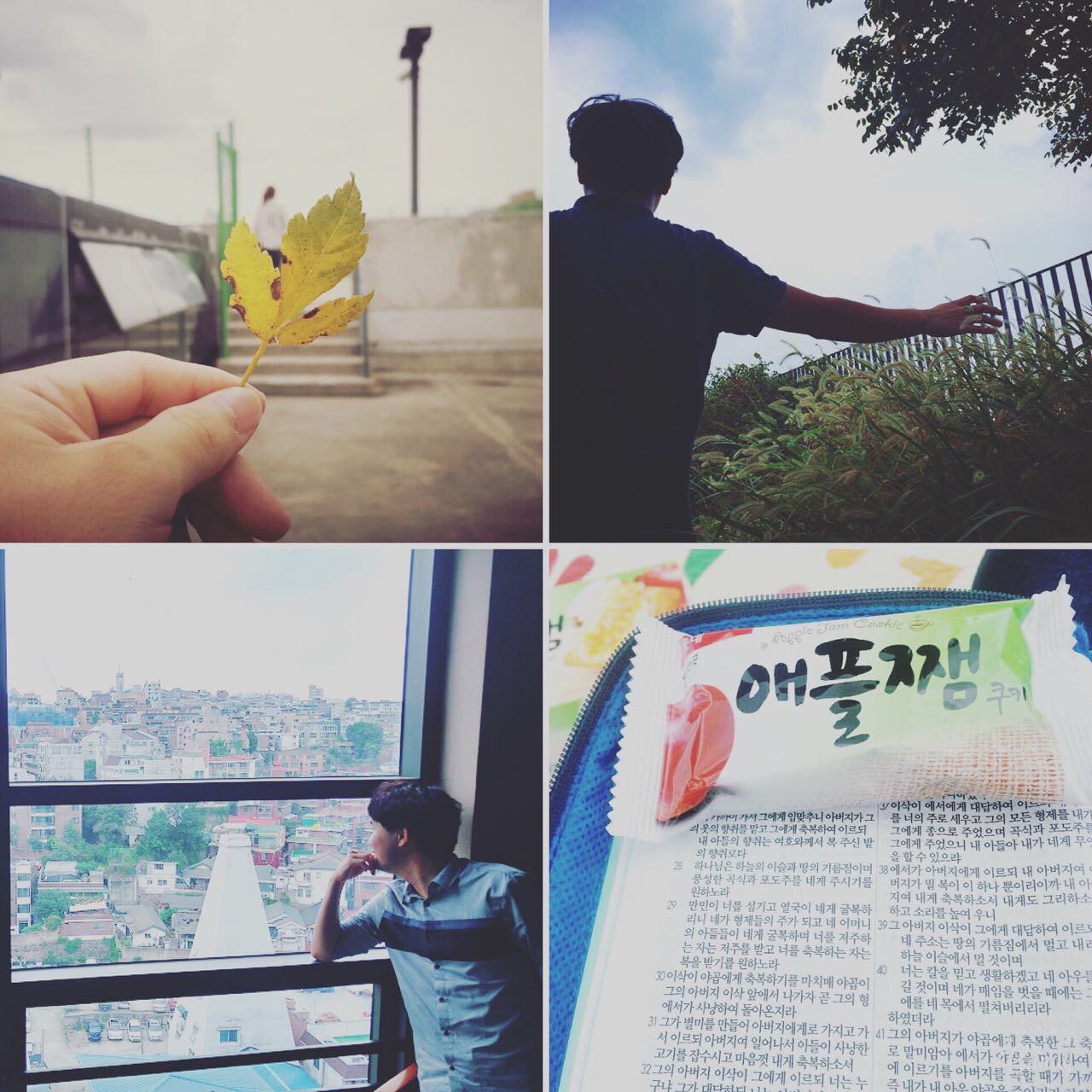 3f9Ud015lnd27o4oady2_79iup6.jpg : 우리 14진 주일 보고서