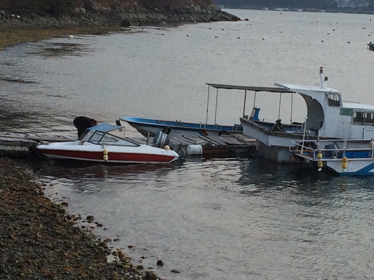 a40Ud0111sui7avmtx1j0_zgk3pi.jpg : 필그린 7진 2015년 1월 18일 주일보고서